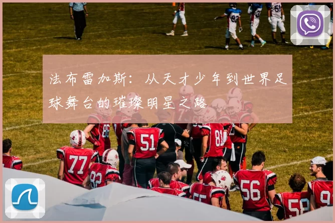 法布雷加斯：从天才少年到世界足球舞台的璀璨明星之路