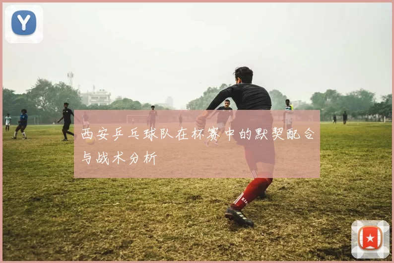 西安乒乓球队在杯赛中的默契配合与战术分析