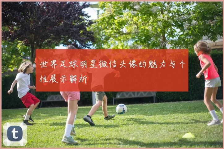 世界足球明星微信头像的魅力与个性展示解析