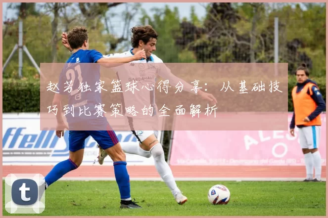 赵芳独家篮球心得分享：从基础技巧到比赛策略的全面解析