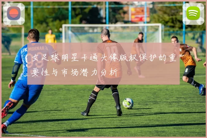 女足球明星卡通头像版权保护的重要性与市场潜力分析