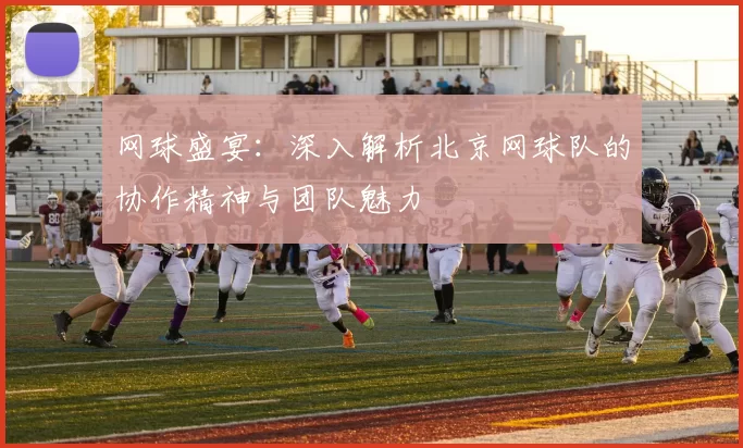 网球盛宴：深入解析北京网球队的协作精神与团队魅力