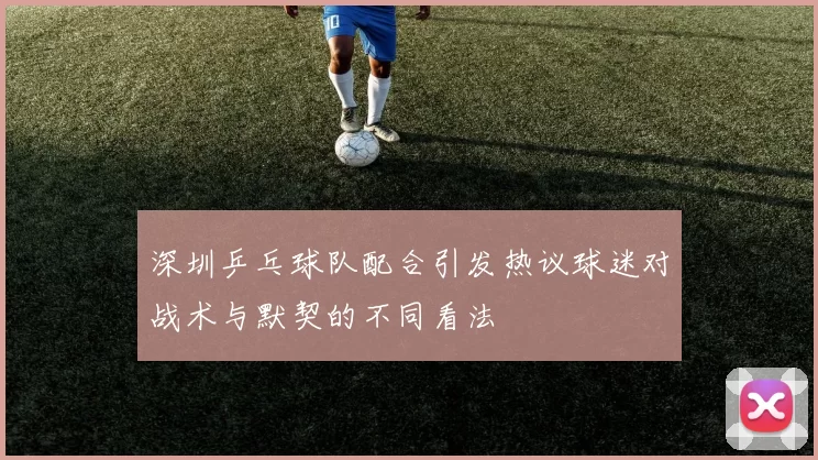 深圳乒乓球队配合引发热议球迷对战术与默契的不同看法