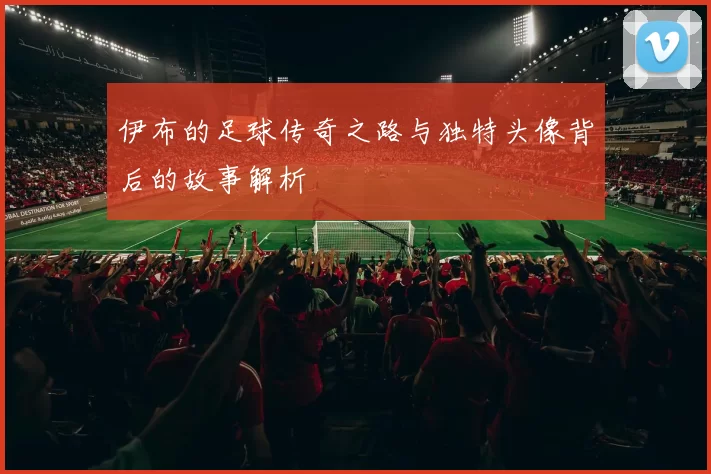 伊布的足球传奇之路与独特头像背后的故事解析