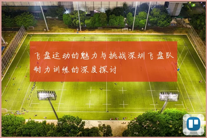 飞盘运动的魅力与挑战深圳飞盘队耐力训练的深度探讨