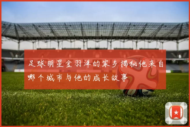 足球明星金羽洋的家乡揭秘他来自哪个城市与他的成长故事