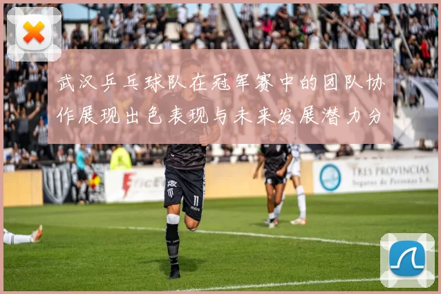 武汉乒乓球队在冠军赛中的团队协作展现出色表现与未来发展潜力分析